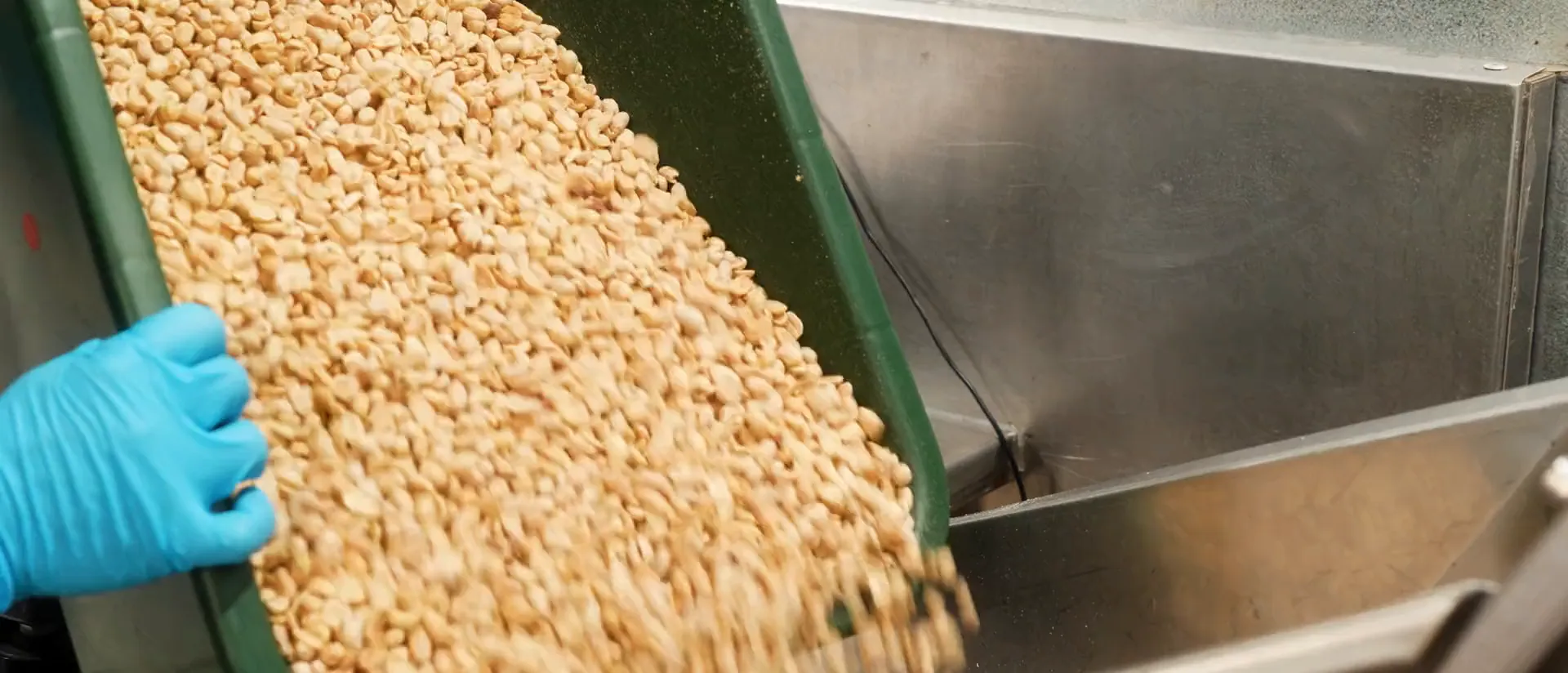 Cashewkerne in der Produktion